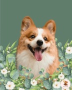 PLAKAT Uroczy Welsh Corgi (30x 40cm)