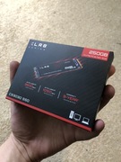 XLR8 Dysk SSD 250GB NVMe PCIe CS3030