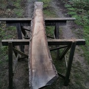 deska tarcica orzech włoski orzecha włoskiego 4