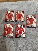 karty FIFA world cup qatar2022 Szwajcaria