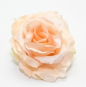 Ekskluzywna Główka Róży–Krem z Brzoskwinią– Premium DIY