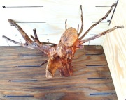 Korzeń do akwarium, terrarium. Premium. Preparowany.Gotowy do użycia.Opis!!