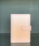 Binder segregator A6 z kopertami finansowymi i statusami na pieniądze