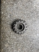 Wolnobieg Regina G.S.  Corse 5-rzędowy 13-17T