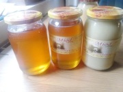 Miód rzepakowy Naturalny