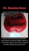 Nasiona Pomidorów Russian Rose 