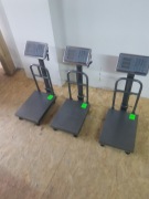 Waga Sklepowa Magazynowa Elektroniczna 100kg 