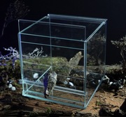 Terrarium EKO 15x15x15 szkło 3x wentylacja profesjonalne