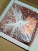 Drukarka Phrozen Sonic Mighty 8K