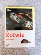 Żółwie ozdobne Fritz Frohlich