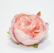 Ekskluzywna Główka Piwonii –Pudrowy Róż z nutką fioletu– Premium DIY