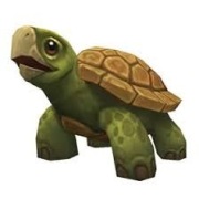 TURTLE WOW AMBERSHIRE 500 GOLD
