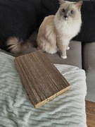 Drapak dla kota z kartonu 21x35cm dwustronny