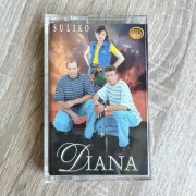 Kaseta magnetofonowa Diana 