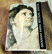Książka: "Michał Anioł na tle epoki"