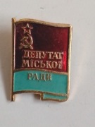 zastępca rady miasta