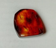 Bursztyn bałtycki bryłka