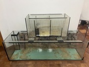 Akwarium 720 l plus sump 200 l