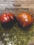 052a-Rebel Starfighter Prime. Pomidory kolekcjonerskie.
