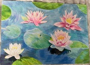 Lilie wodne. Format A4 , wykonane kredkami