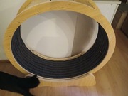 Bieżnia dla kota używana