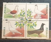 Gołębie hodowlane, Fi 3363-3366