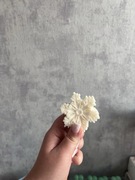 Świece sojowe zapachowe