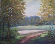 " LEŚNA  POLANA "