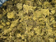 Susz CBD MIX fenotypów 8.25% wyprzedaż promocja 500g