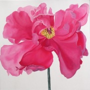 Peony malarstwo akrylowe ręcznie rysowane