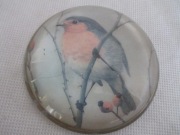 VINTAGE PRZYCISK DO PAPIERU ROBIN RUDZIK  NIGEL PAIN  ANGLIA