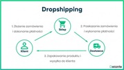 Strona Internetowa/ Sklep dropshipping