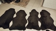Skóra dekoracyjna owcza xl barania 4 sztuki zestaw 