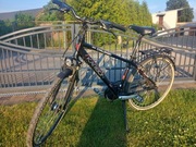 Karbon gts challenger rower