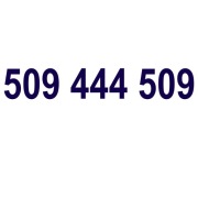 Złoty Numer 509 444 509