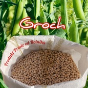 Groch opakowanie 25kg wysyłka natychmiast Inpost