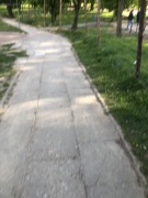 Glebogryzarka Demon 30 cm 2600 W 3,5 KM