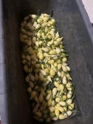 Nasiona papryki chupetinho white