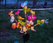 Lampa solarna , ogrodowa , wbijana , motyle