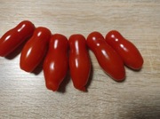 Aurija Mini Koktajlowy 