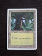 Forest. Magic The Gathering 