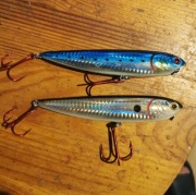 Wobler powierzchniowy 12cm,21g