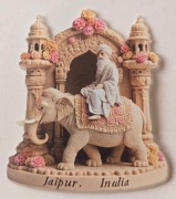 Magnes na lodówkę Jaipur India INDIE Ganges Sri Lanka Cejlon(47)