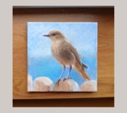 Kopciuszek ptak rysowany na płótnie 20x20 cm oryginał