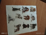 Naklejki zwierzę Psy (5)