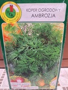 Koper ogrodowy 'Ambrozja'