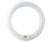 ŚWIETLÓWKA KOŁOWA 40W/830 G10Q 3000K PHILIPS