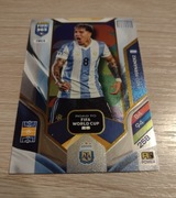 Road to FIFA world cup Fernandez 