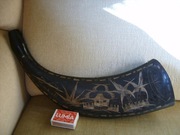 PIĘKNY RÓG Z FILIPIN - 8 !