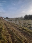 Montaż Ogrodzeń Siatka Panele Bramy Napędy